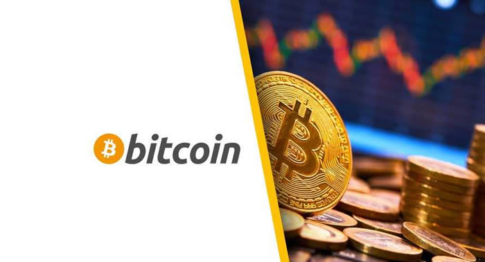 BTC - Bitcoin比特币钱包基本概念介绍