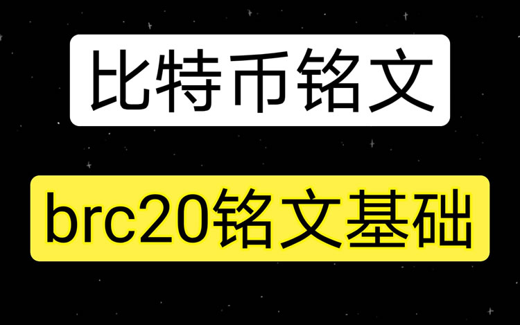 BRC20铭文龙头币盘点：ORDI、MEME和币安NK币深度分析