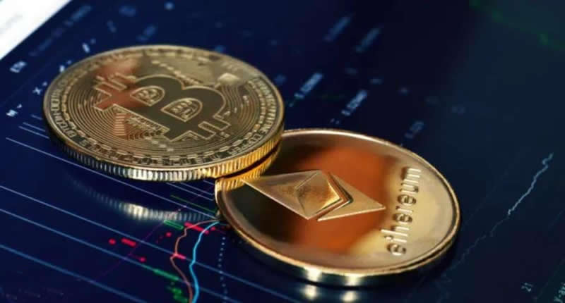 交易所的币可以提到任何钱包吗？如何从交易所提币到自己的钱包？