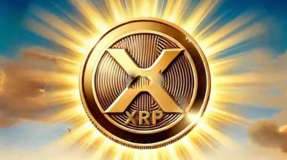 RP提币标签怎么写?RP提币标签充币时如何查看