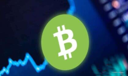 BCH币未来如何？2024-2030比特币现金(BCH)价格预测