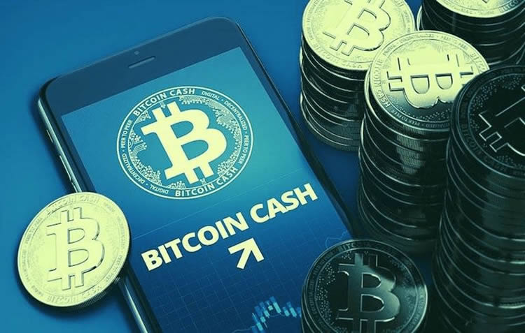 比特币现金 - BCH币是什么？和BTC差在哪？BCH币价格及未来分析