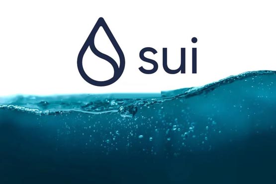 一文了解Sui将开放使用Face ID、指纹批准智能合约