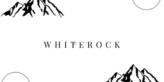 一文了解WhiteBlock是什么？链上买美股平台WhiteRock原生代币WHITE暴涨
