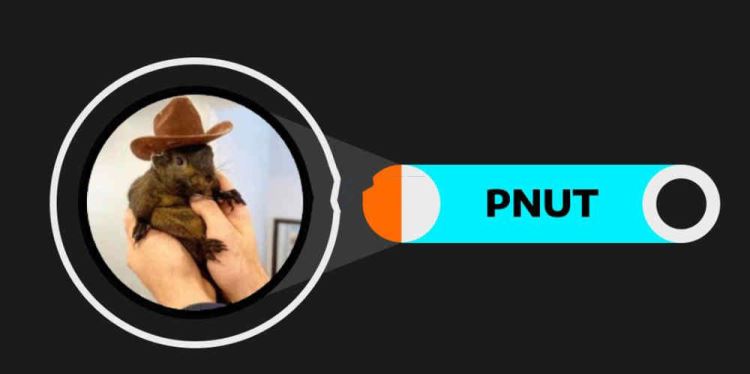 PNUT币未来能成为百倍币吗？值得买吗？