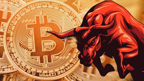 Santiment分析：比特币巨鲸开始重新累积BTC！山寨季无法到来是meme币影响？