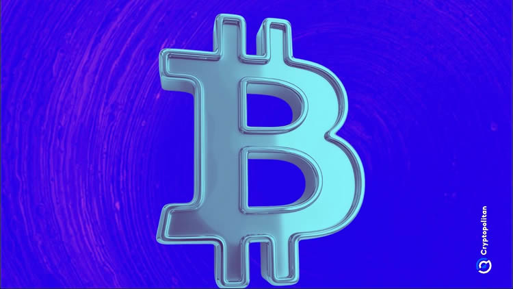 2025-2031年比特币价格预测：减半后BTC价格会突破20万美元吗？