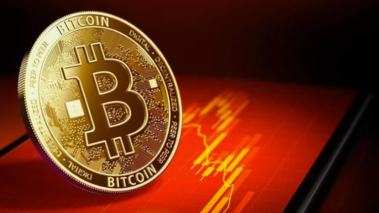 什么是比特币主导指数 - BTC.D？如何透过BTC.D判断市场趋势？