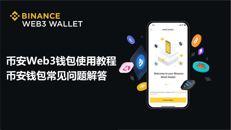 币安Web3钱包使用教程，币安钱包常见问题解答