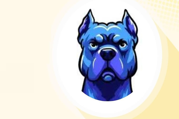 DOGINME  - $DOGINME 价格飙升： 为什么下一步可能是修正