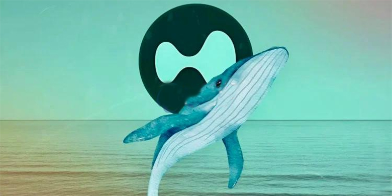 Hyperliquid50倍杠杆巨鲸将DeBank帐号名改为MELANIA！ZachBT将曝光其犯罪证据