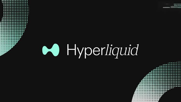Hyperliquid - HYPE币长期价值基本面分析