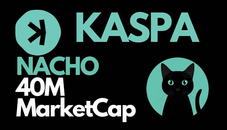 Nacho the Kat - NACHO币是什么？NACHO币值得投资吗？