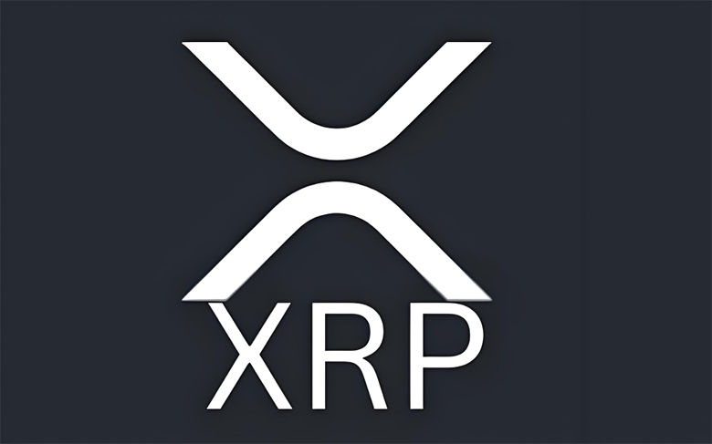 有多少人拥有 RP？RP 富豪榜一览（2025）