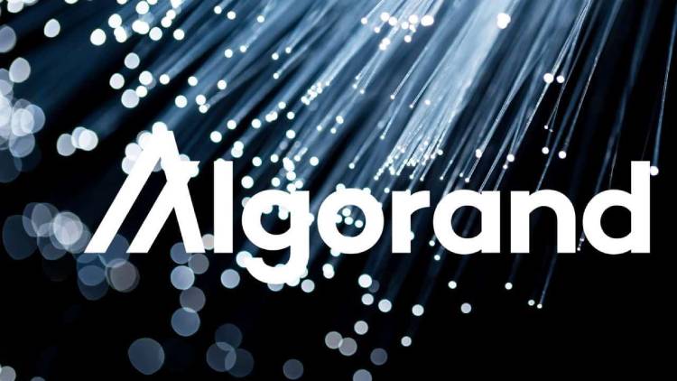 ALGO币还会涨吗?值得投资吗?ALGO币买入及交易流程指南