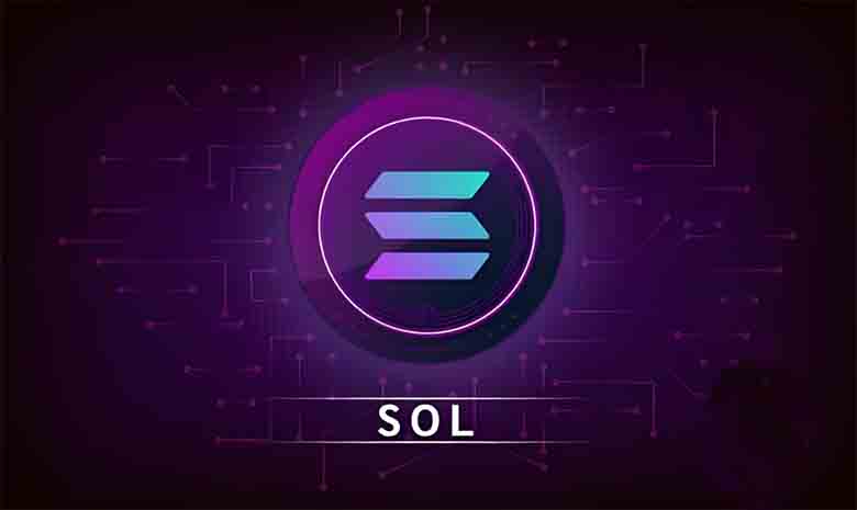 2025年Solana  - SOL质押新手教程：初学者的分步指南