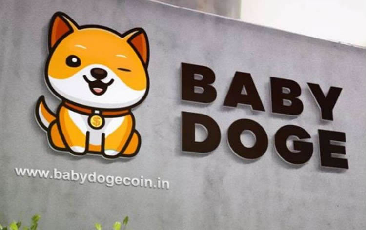 宝贝狗币 - BabyDoge是什么币?宝贝狗币价格走势及未来如何