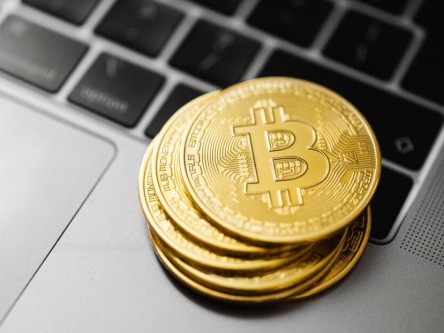 shib2025年销毁计划_shib价格今日价格