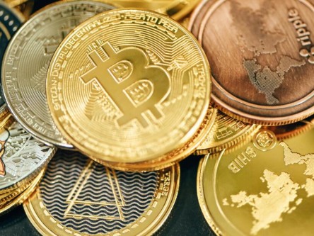 bitznet下载_bitznet安卓下载v3.4.4免费最新版本下载