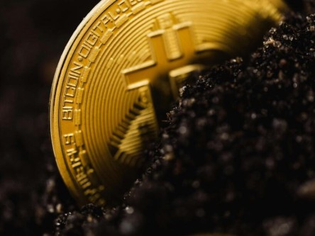 全球最大的虚拟货币交易平台是哪个_币交易所app下载