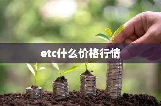 前十usdt应用榜单一览 网上虚拟交易平台