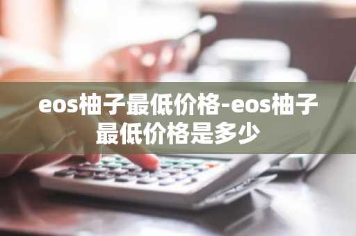 排名前二十的主流币 主流数字货币前20排名巨头争霸