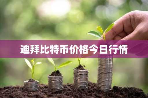 币所top10 币所排行榜前十