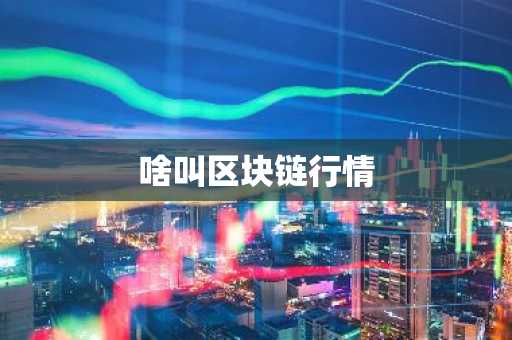 Multivers EGLD币是什么