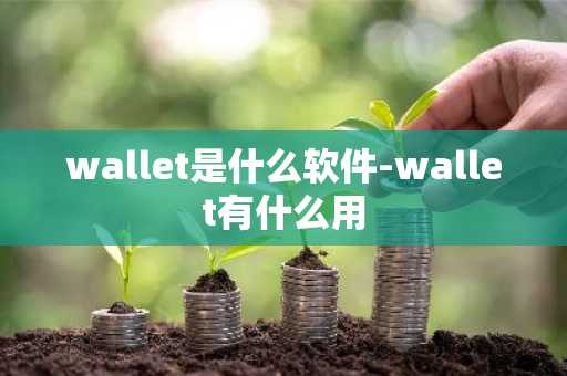 中本聪币官网手机版 中本聪安币卓app软件中心
