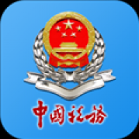 湖南税务app下载安装