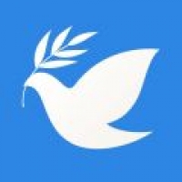 飞鸽博客安卓下载