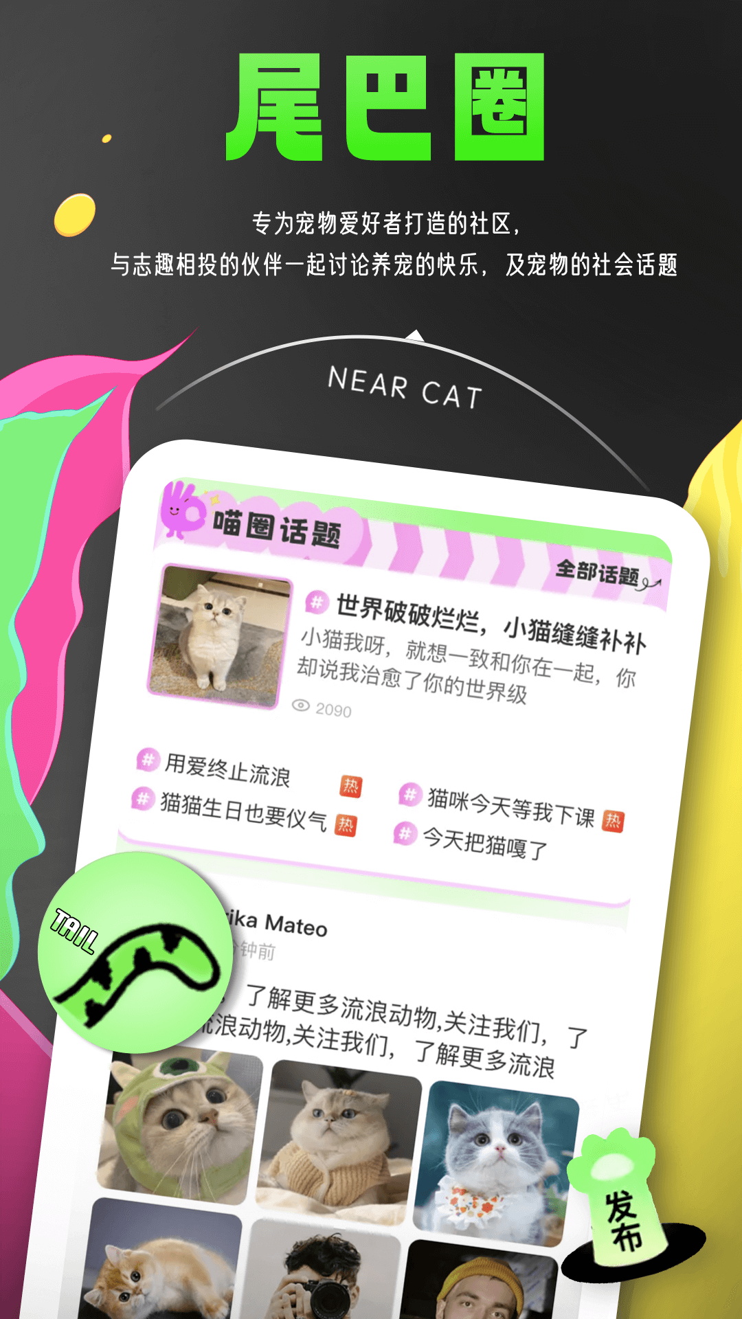 03143652iqzx.png