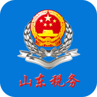 山东电子税务局网上办税平台