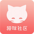 猫咪社区官方最新永久地域网名