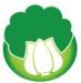 白菜优品购物平台app安卓版下载地址apk