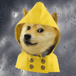 单身狗天气