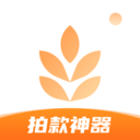 大麦相机app最新版