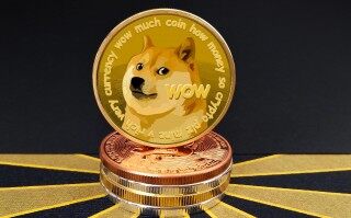 BIAN扩大对狗狗币的支持，DOGE价格将上涨至 0.1 美元？