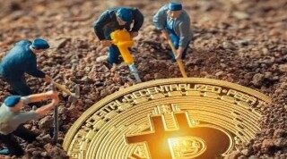 BIAN币今日最新消息(BIAN币今日行情)