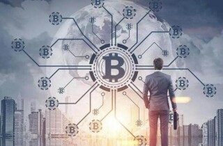 bos柚子行情最新价格(bos柚子币最高价是多少)