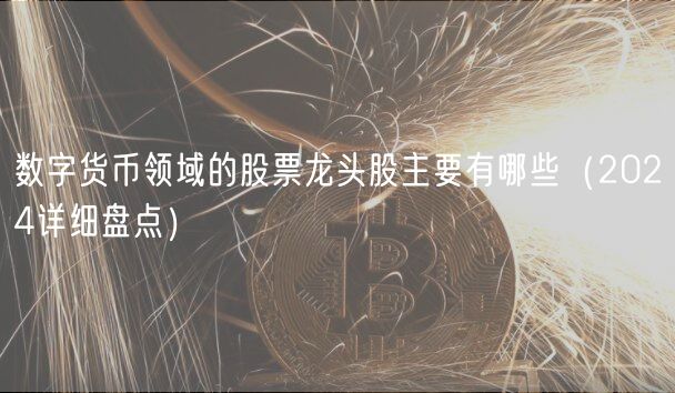 数字货币领域的股票龙头股主要有哪些（2024详细盘点）