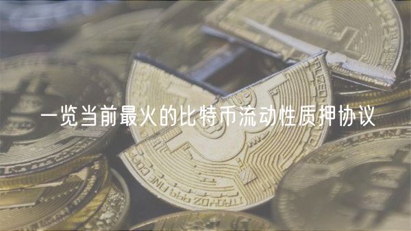 一览当前最火的比特币流动性质押协议