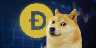 欧意的收币地址在哪里(欧意okb法币账户在哪里)