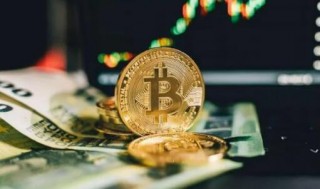 pi币官方给出的预估价值(专业人士对pi币的估值)