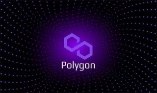 Polygon币是什么币