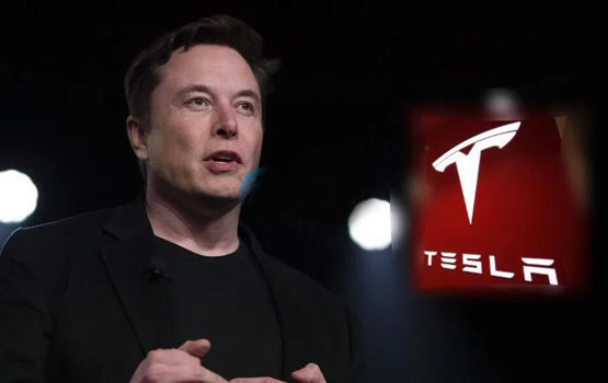 特斯拉重挫15％！马斯克：加入DOGE后经营Tesla极度困难